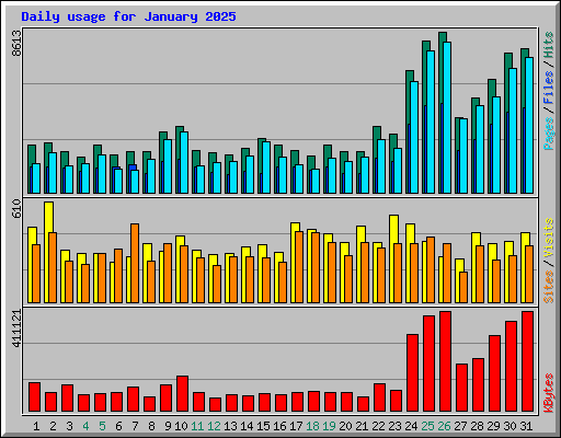 Daily usage for January 2025