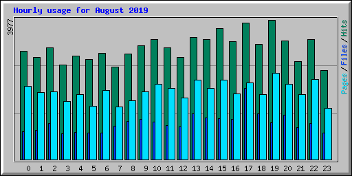 Hourly usage for August 2019