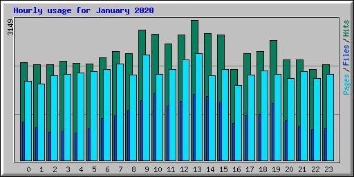 Hourly usage for January 2020