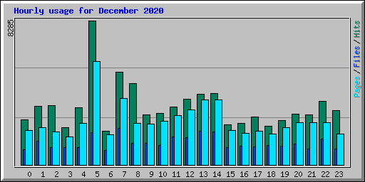 Hourly usage for December 2020
