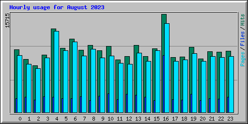 Hourly usage for August 2023