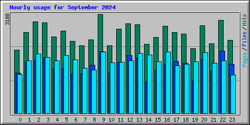 Hourly usage for September 2024