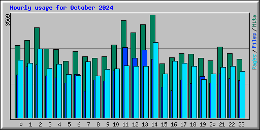 Hourly usage for October 2024