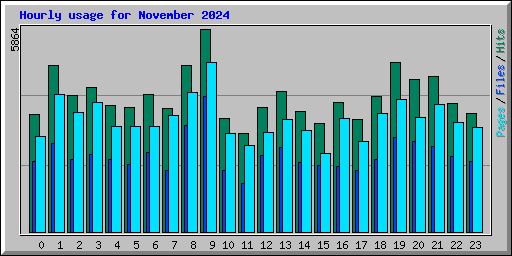 Hourly usage for November 2024