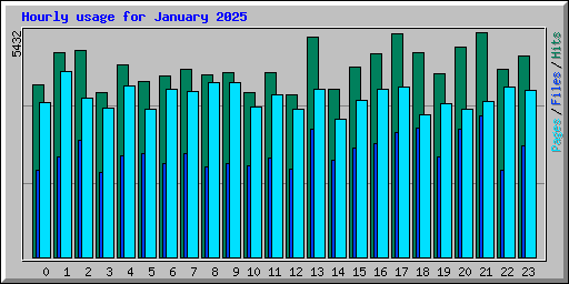 Hourly usage for January 2025