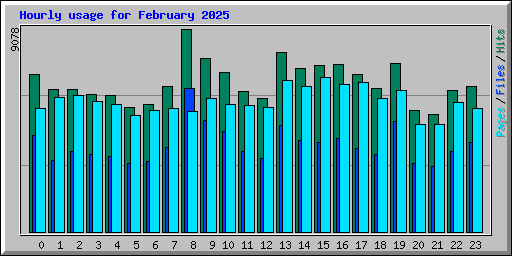 Hourly usage for February 2025