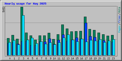 Hourly usage for May 2025