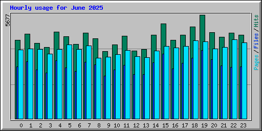 Hourly usage for June 2025