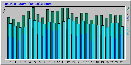 Hourly usage for July 2025