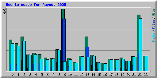 Hourly usage for August 2025