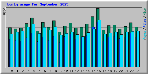 Hourly usage for September 2025