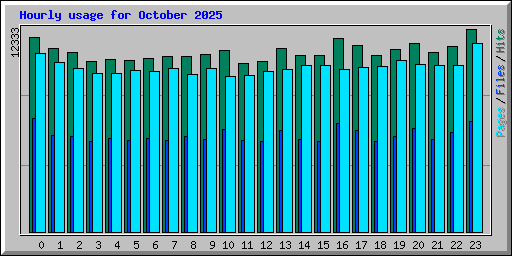 Hourly usage for October 2025