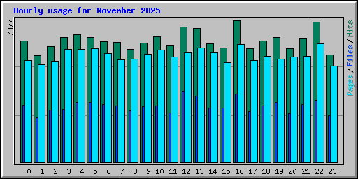 Hourly usage for November 2025