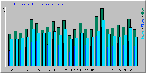 Hourly usage for December 2025