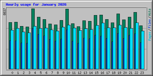 Hourly usage for January 2026