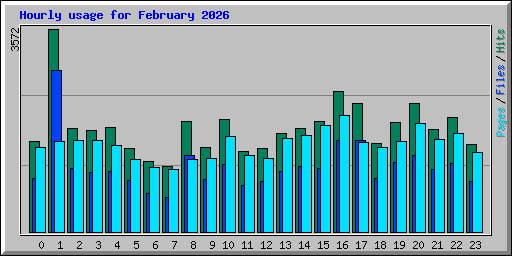 Hourly usage for February 2026