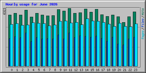 Hourly usage for June 2026