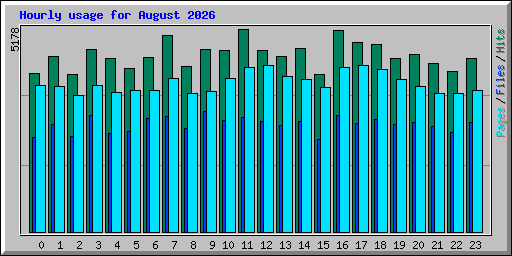 Hourly usage for August 2026